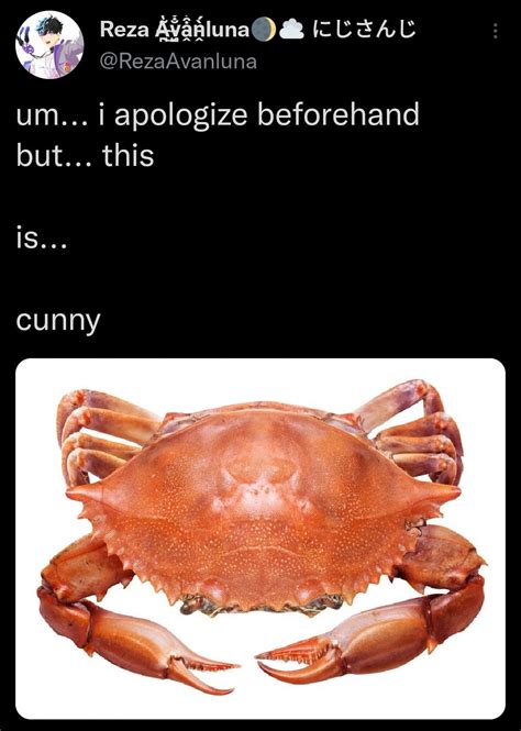 cnuuy meaning|cunnypilled.